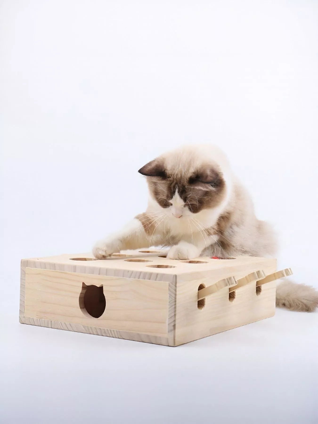 Interactive Wooden Cat Puzzle Toy with Mice