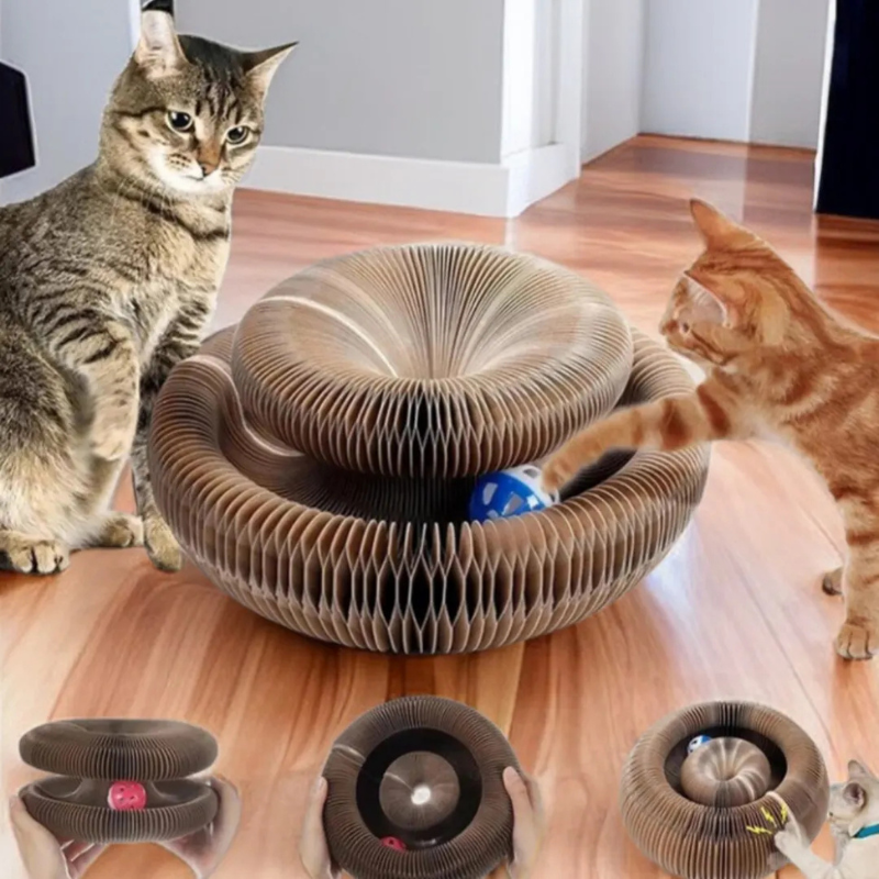 Magic Cat Scratch Toy with Interactive Ball