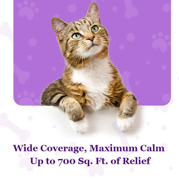 Purrfect Cat Calming Diffuser Kit with 2 Refills