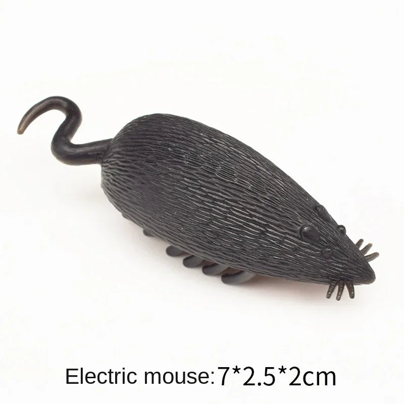 Interactive Battery Operated Bug Cat Toy for Kittens Automatic Vibration Beetle with Obstacle Avoidance