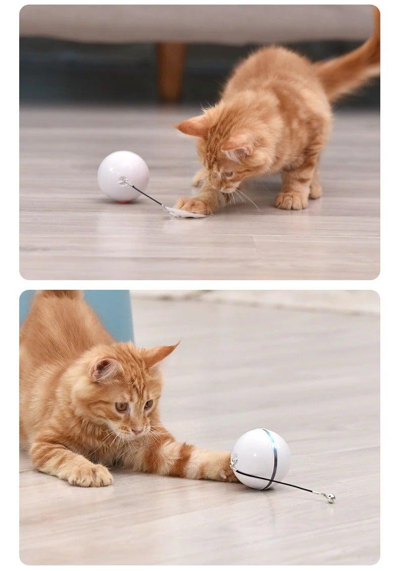 Automatic Smart Cat Toys Ball Interactive Catnip USB Rechargeable Self Rotating Colorful Led Feather Bells Toys for Cats Kitten Build-in Spinning Led Light Stimulate Hunting Instinct