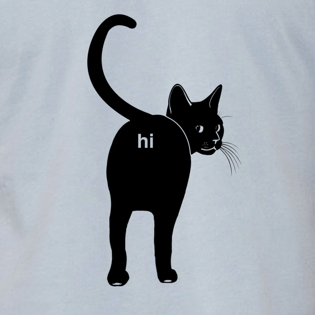 Cat Butt Hi Shirt- Funny Guys Kitten Hello Joke Tee Shirt- Cat Lover Gift For Him- Premium Soft Bella Canvas Tshirt