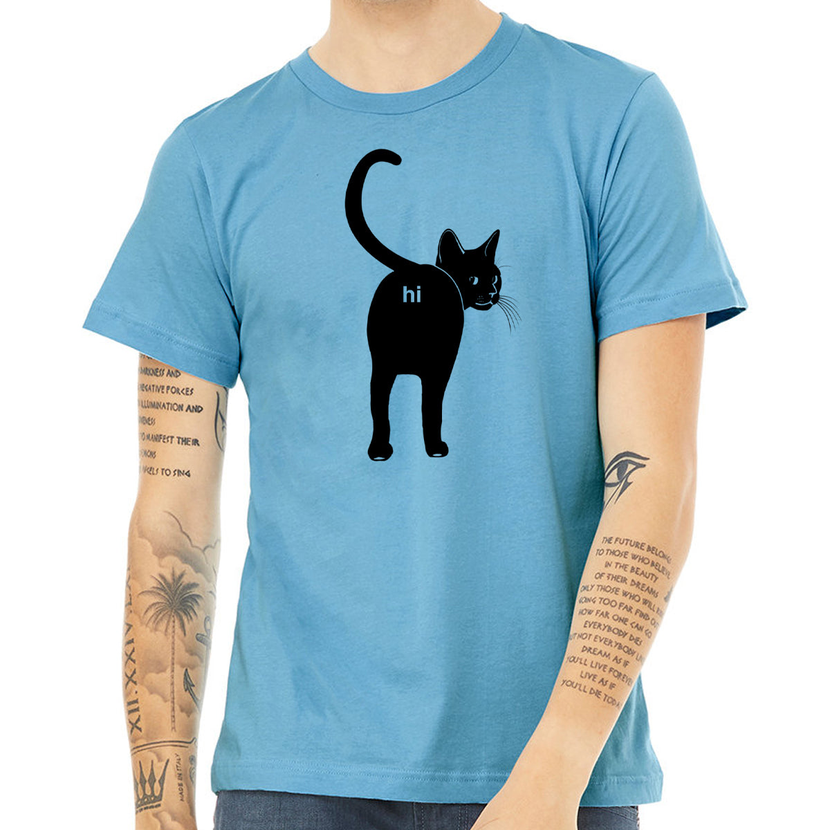 Cat Butt Hi Shirt- Funny Guys Kitten Hello Joke Tee Shirt- Cat Lover Gift For Him- Premium Soft Bella Canvas Tshirt